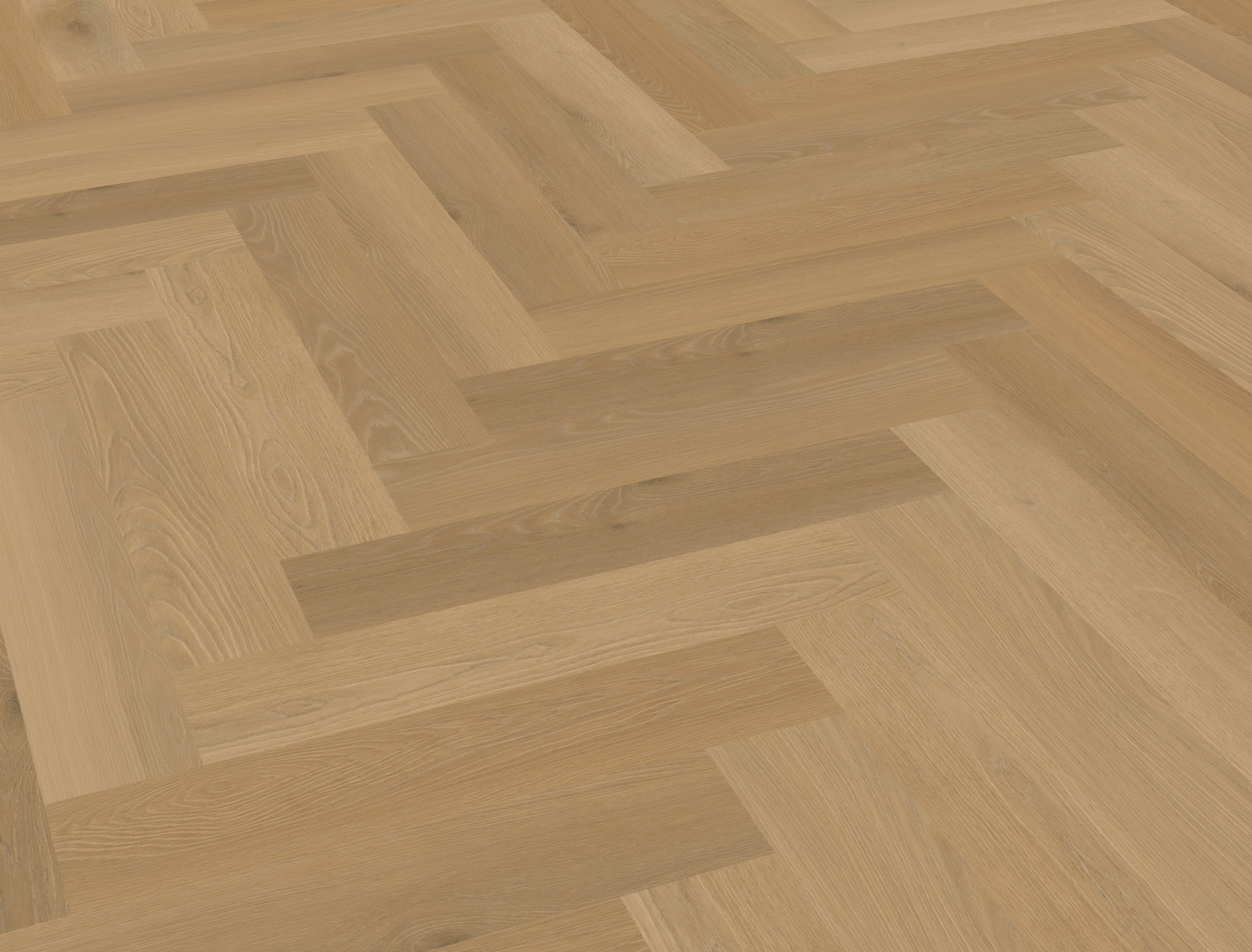 Borgo visgraat XL 32